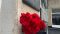 Во Владивостоке в средней школе «Контингент» открыл две мемориальные доски в память о погибших в Чечне