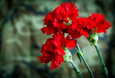 30 января — день памяти связистов 165-го полка морской пехоты ТОФ